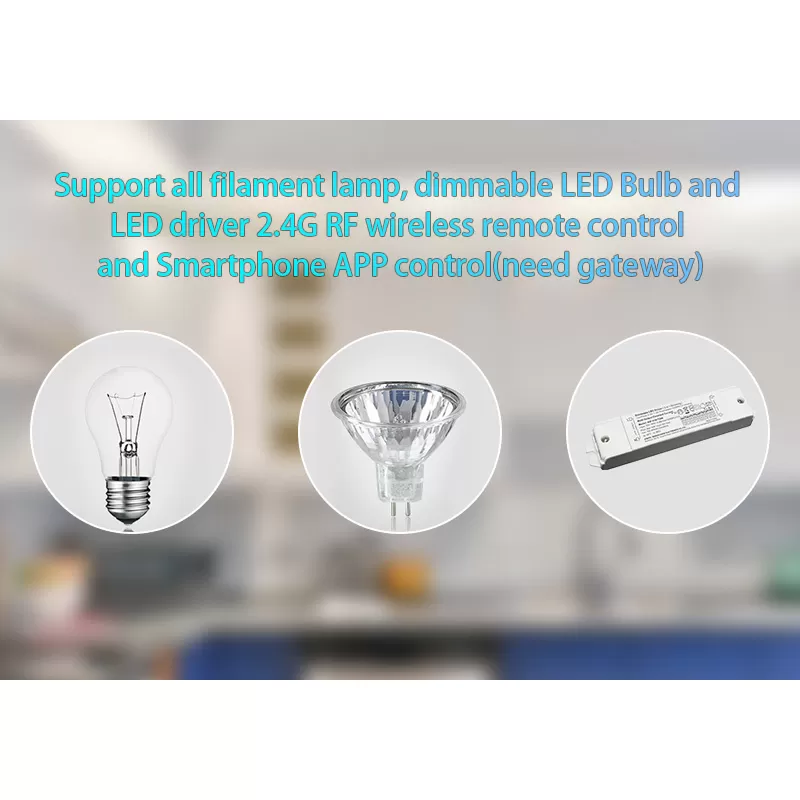 2.4G AC Triac Dimmer