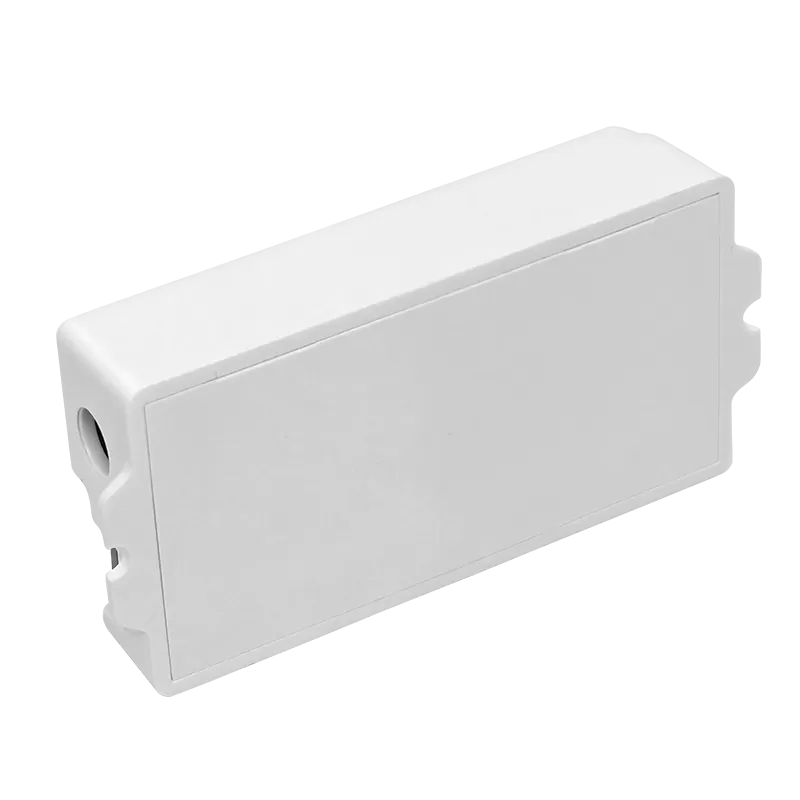 C21W WiFi&BT 2-in-1 LED Strip Controller