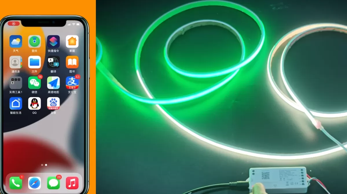 Laimi: DR03W RGB SPI LED Controller Compatible with Smart Life/Tuya APP/Alexa/Google Home