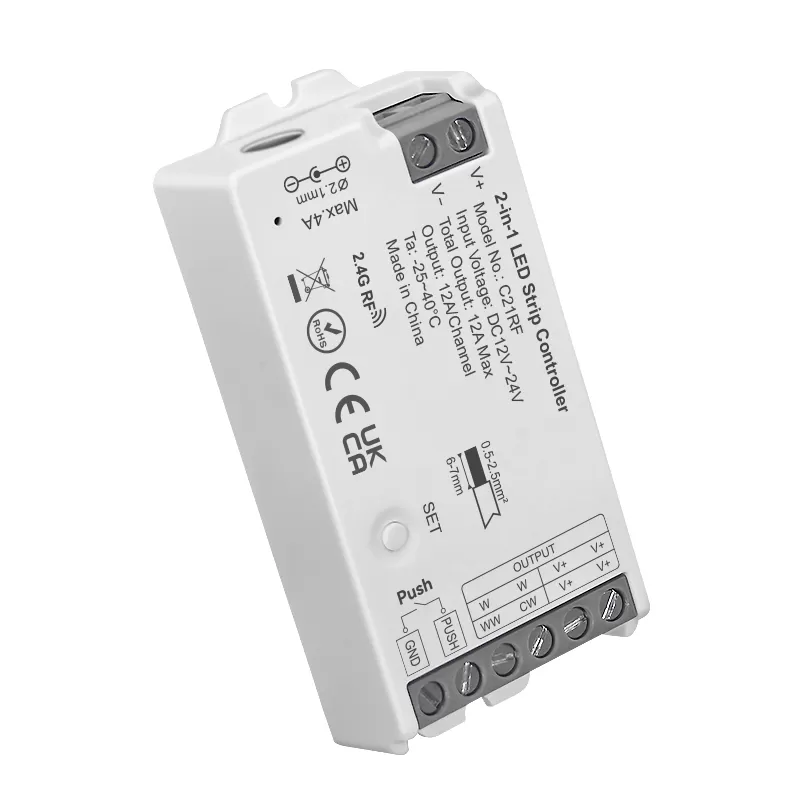 C21RF 2.4GHz RF 2-in-1 LED Controller