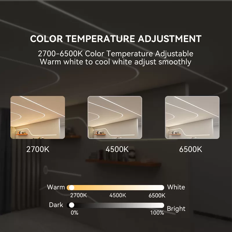 2.4G WiFi CCT LED Controller