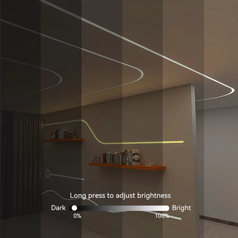 2.4G WiFi Single Color LED Controller