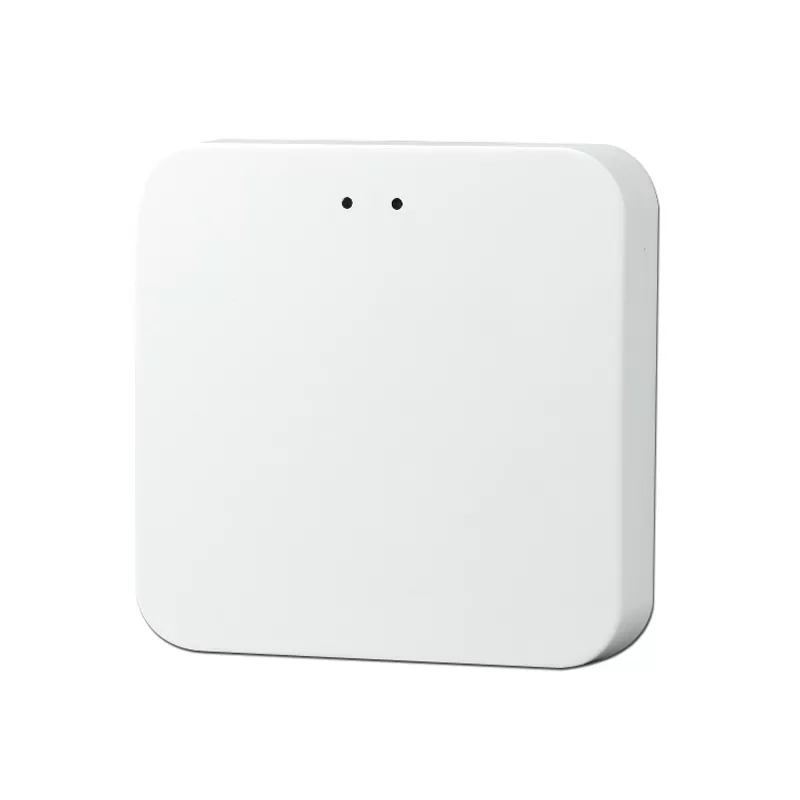 3.0 Zigbee&Bluetooth Mesh Double-Mode Wireless Gateway