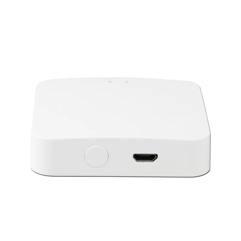 3.0 Zigbee&Bluetooth Mesh Double-Mode Wireless Gateway