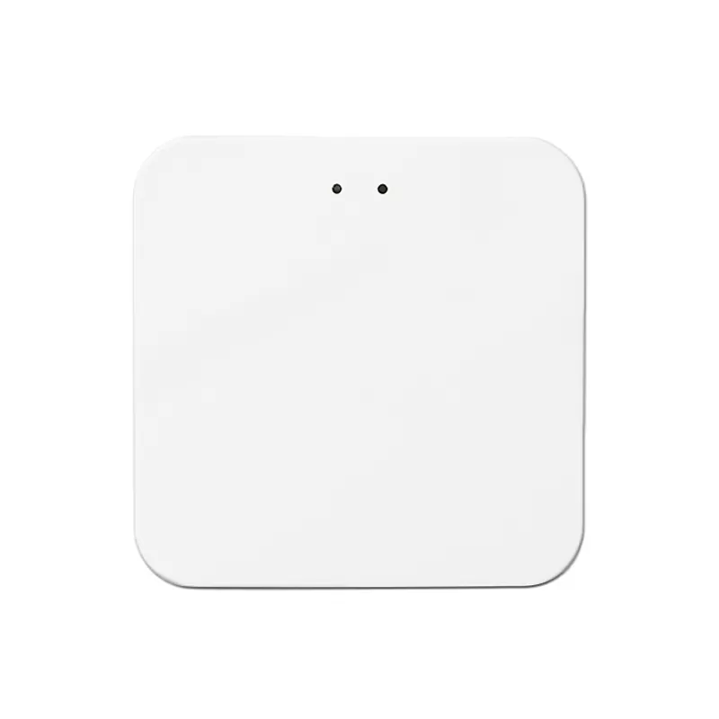 3.0 Zigbee&Bluetooth Mesh Double-Mode Wireless Gateway